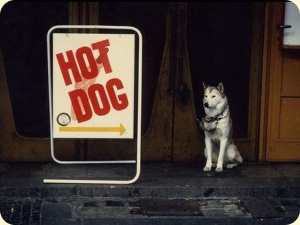 Hot Dog